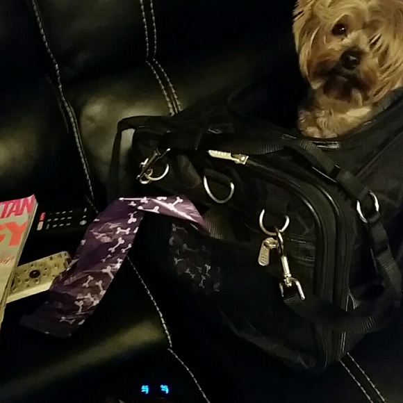 Pet Carrier/ Meets Airline requirements. - Picture 6 of 8